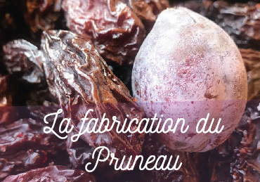 fabrication pruneau