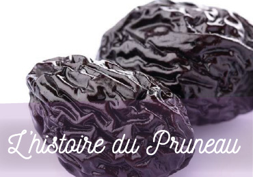 Histoire du Pruneau